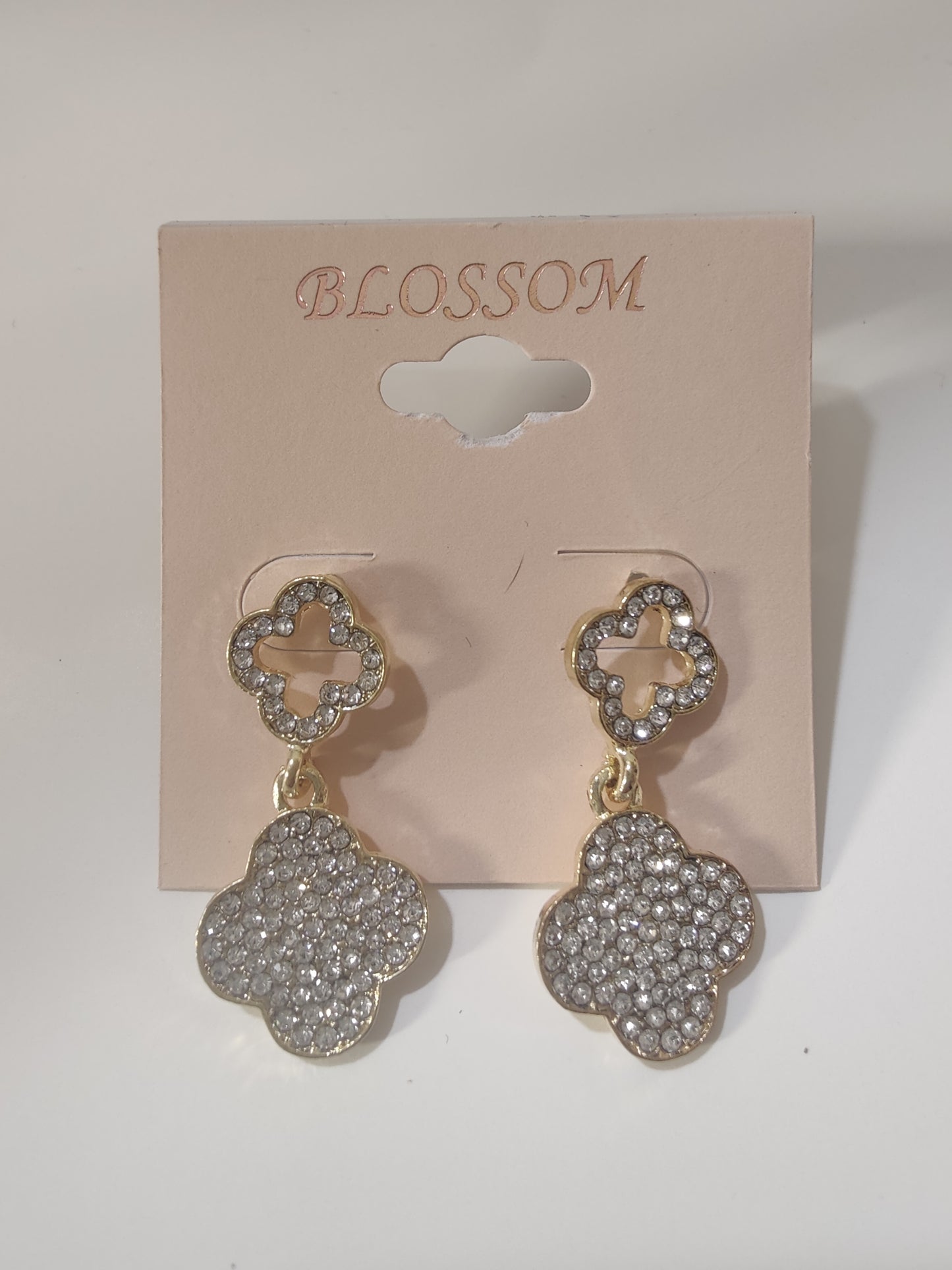 Women's earrings