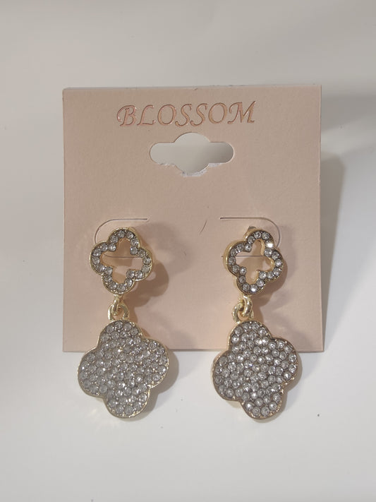 Women's earrings