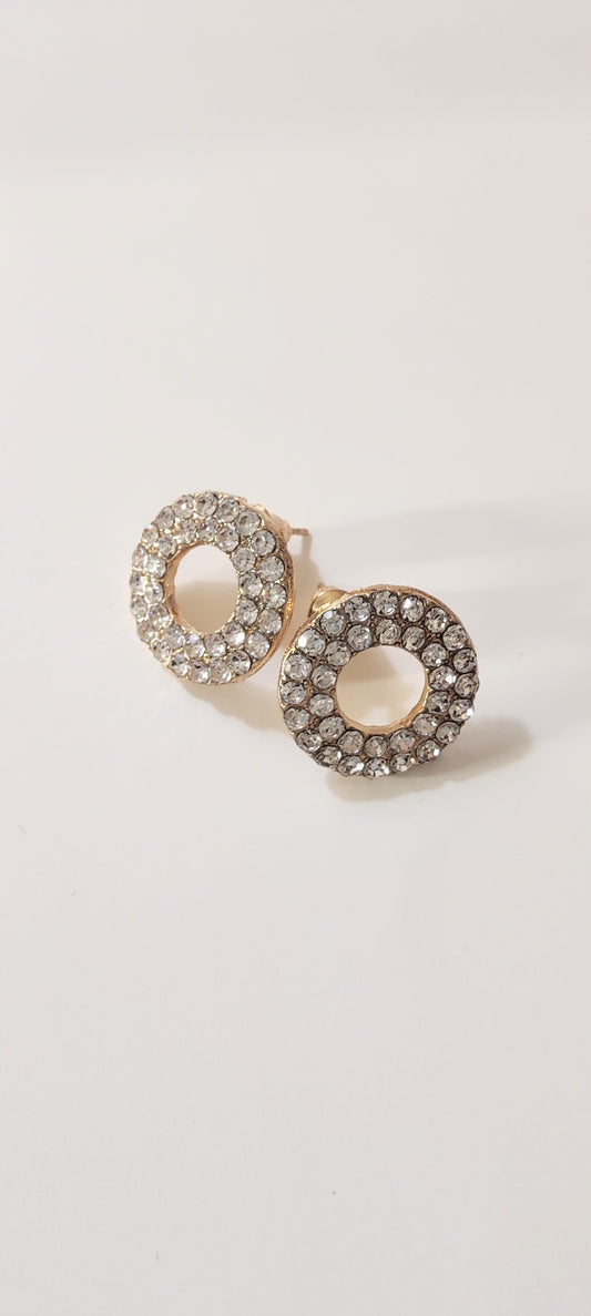 Beautiful Women's Earrings